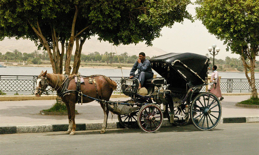 LUXOR CITY TOUR BY HORSE CARRIAGE