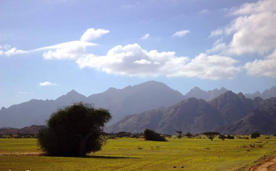 Gebel Elba National Park special tour from Marsa alam