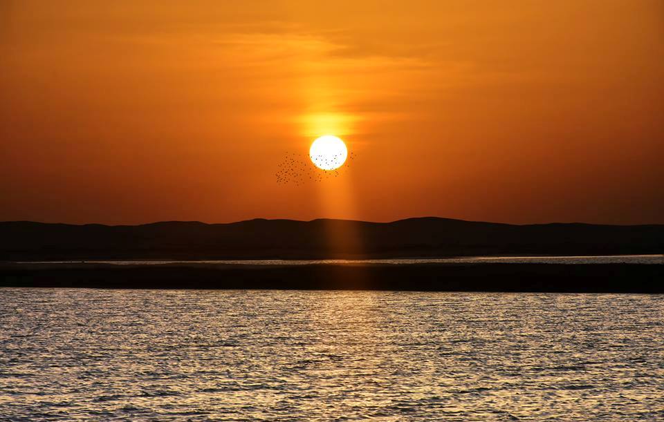 Sunset Dinner Cruise from sharm port