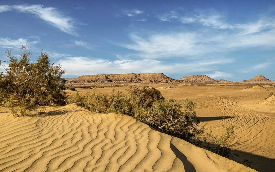 Wadi El Alaqi Day tour from Aswan