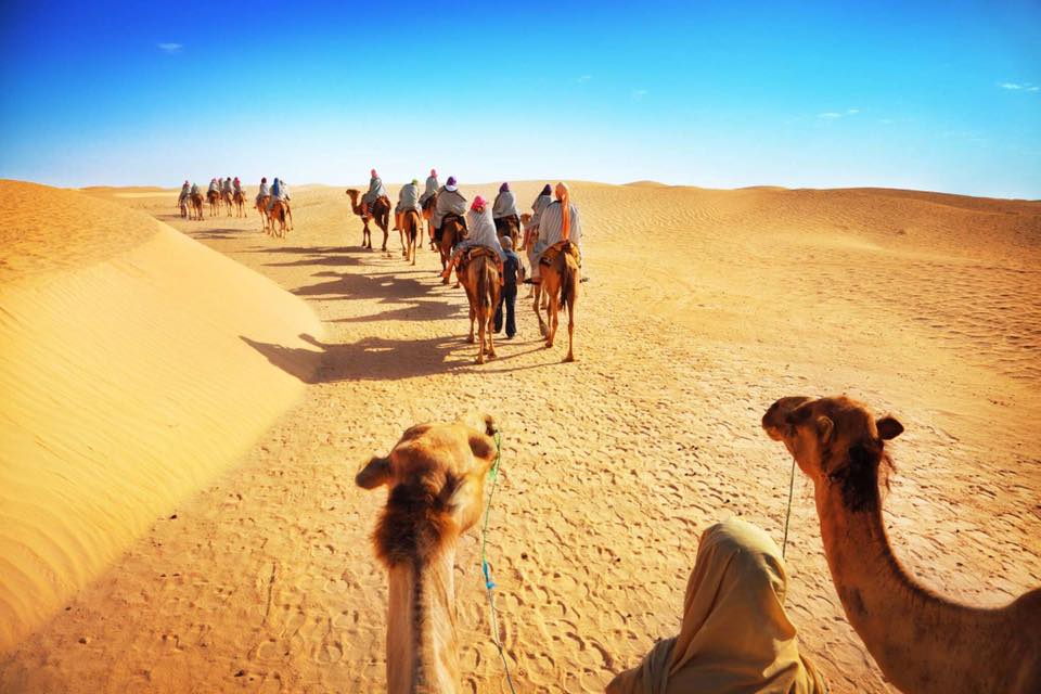 Star Gazing&Camel Safari fromSharm El Sheikh Port