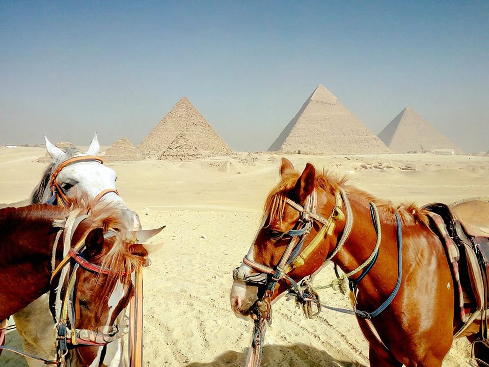 Camel Ride around the Pyramids