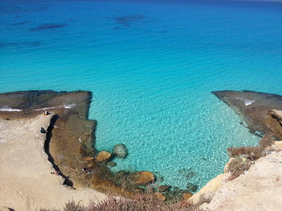 Snorkeling Port Ghalib