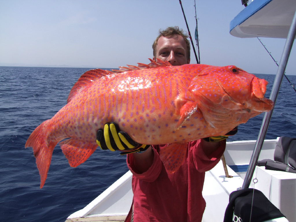 Fishing Trip in Sharm El Sheikh