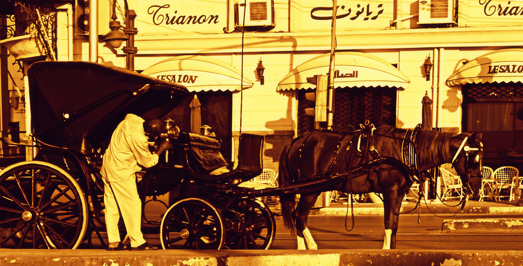 ALEXANDRIA  CITY TOUR BY HORSE CARRIAGE