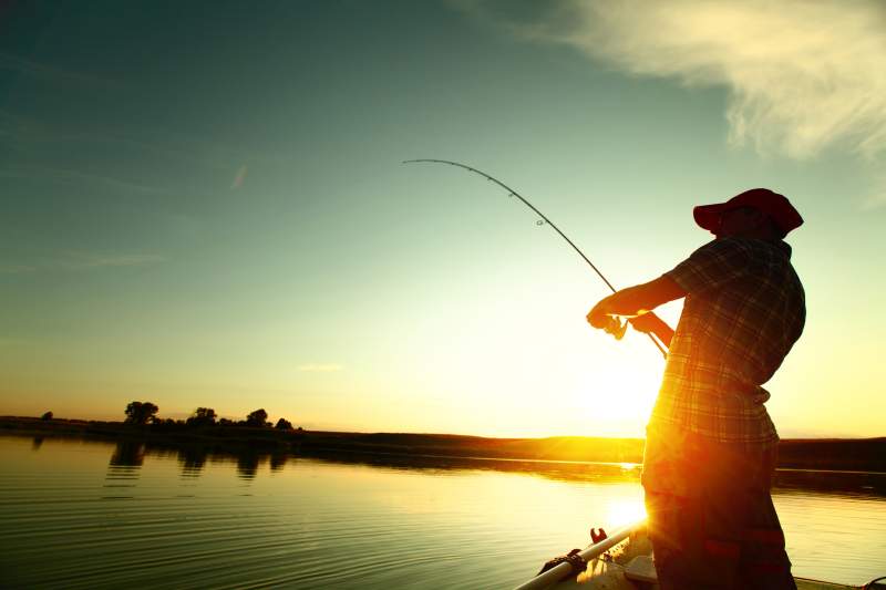 Special fishing tours to Lake Nasser