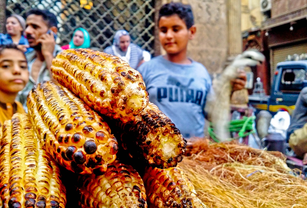 CAIRO'S DOUBLE DECKER BUS TOUR