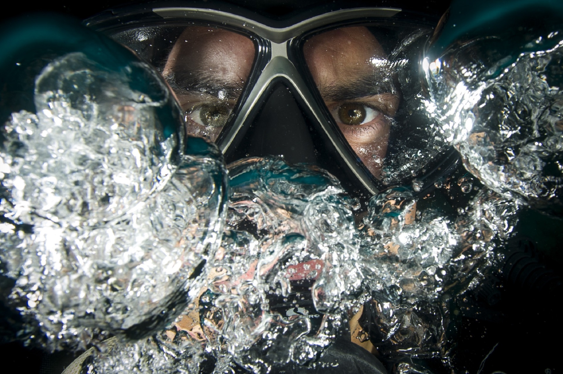 Day diving in Sharm El Sheikh by boat