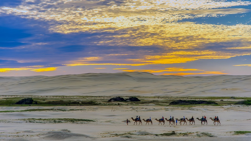 Valley of Camels Tour in Marsa alam