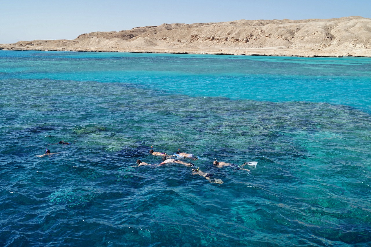 Snorkeling Trip to Tiran Island by boat