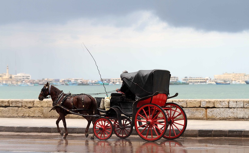 ALEXANDRIA  CITY TOUR BY HORSE CARRIAGE