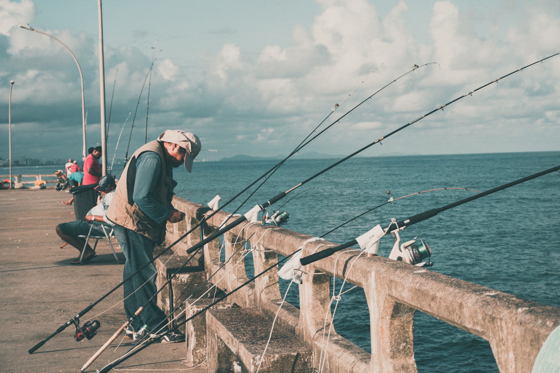 Alexandria Fishing Trip Mediterranean spirit