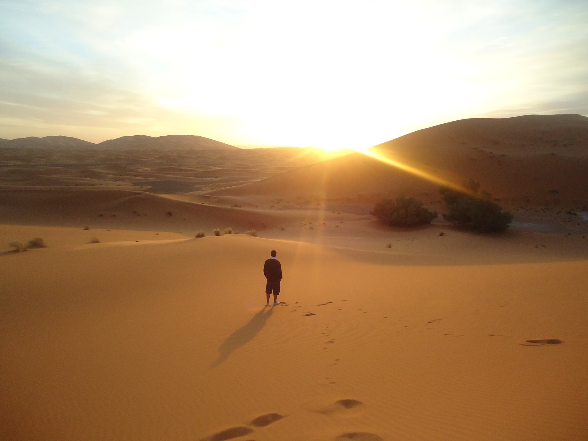 Sunset Trip:Quad Bike Desert Safari with Barbecue