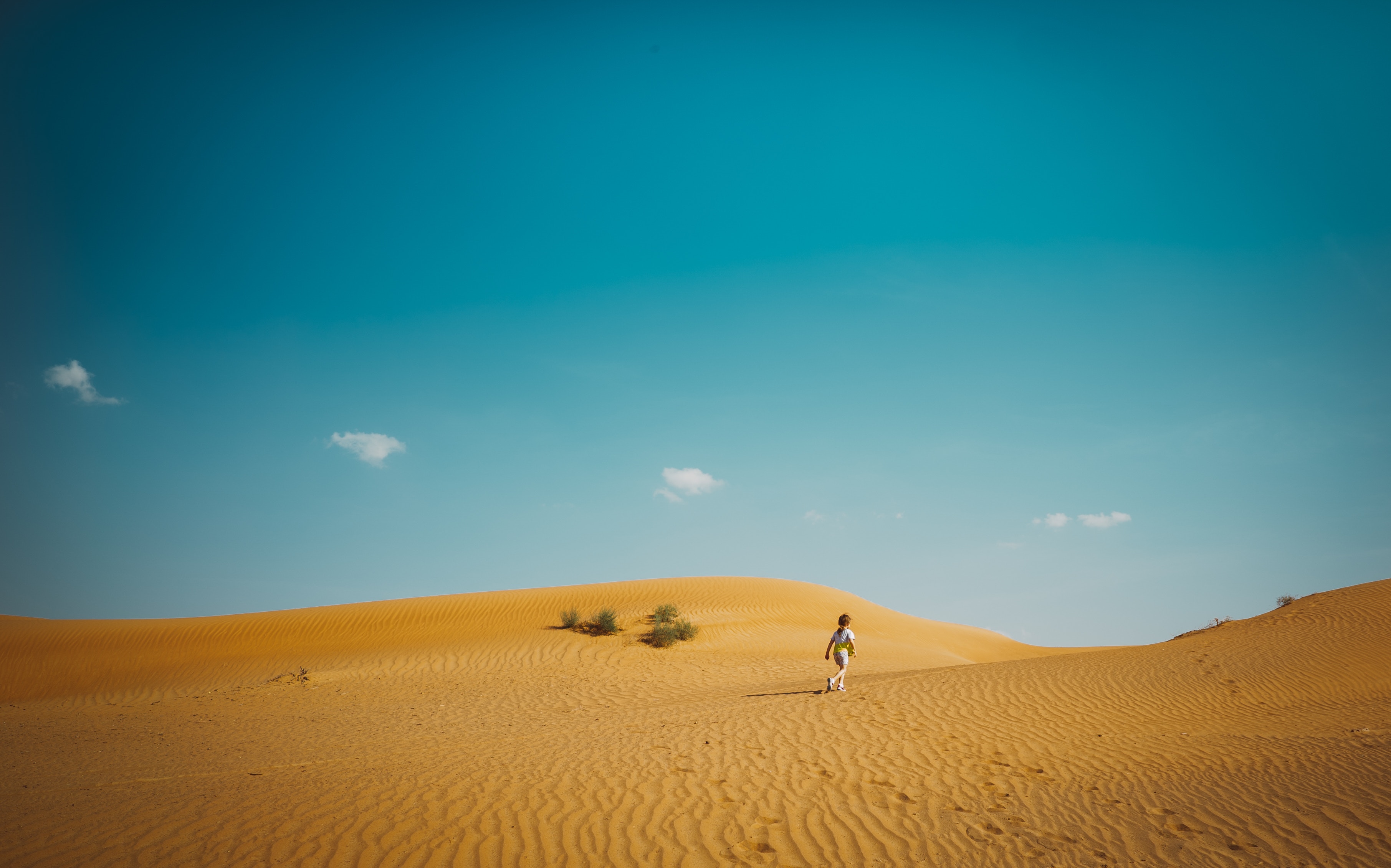 Morning Quad Bike Desert Safari in harghada