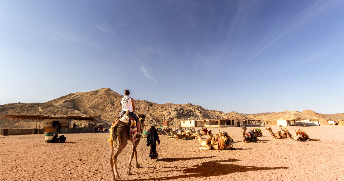 Quad runner and Bedouin Safari Trip from Safaga Port