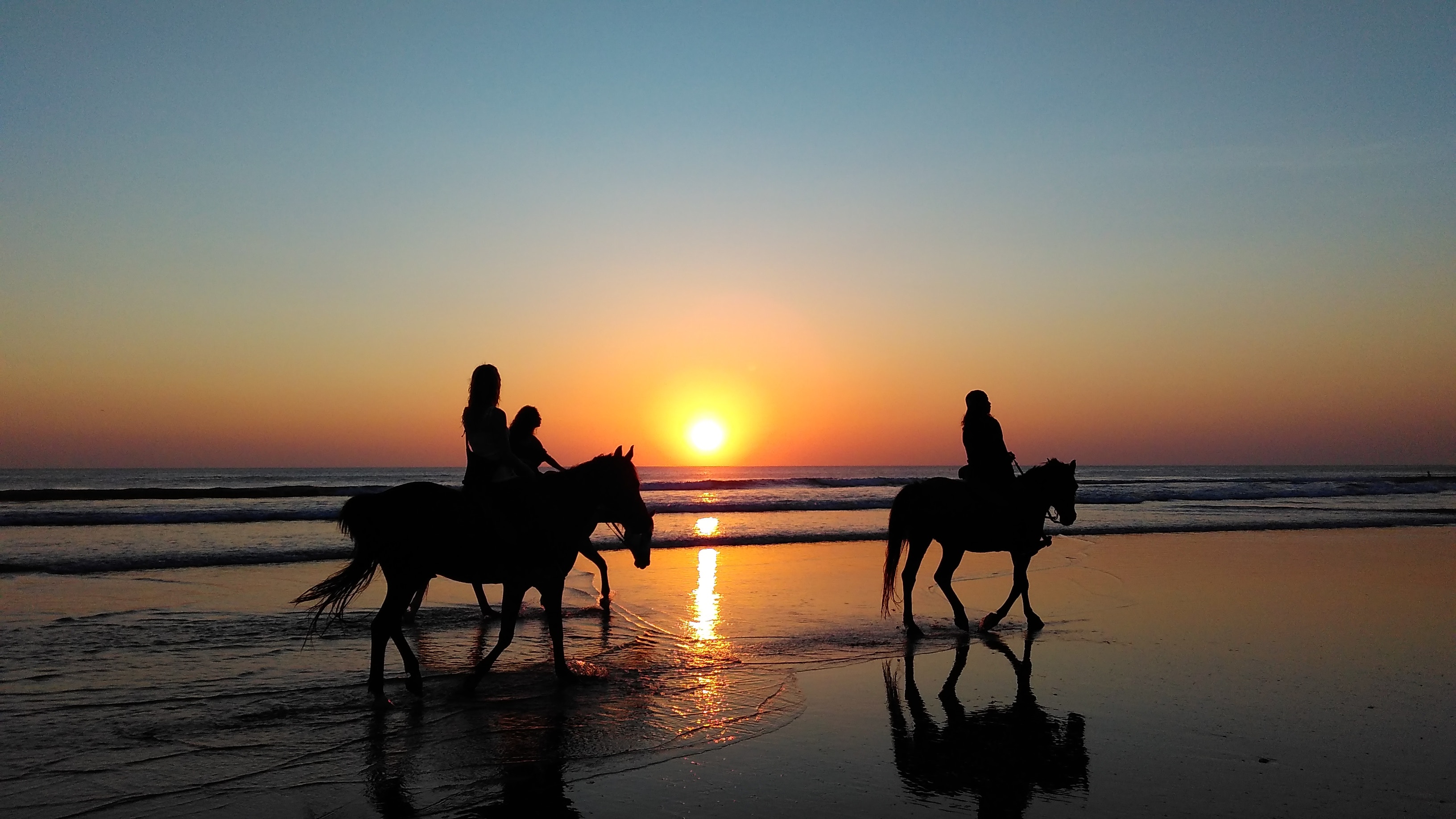 Horse Riding Tours in Sharm El Sheikh